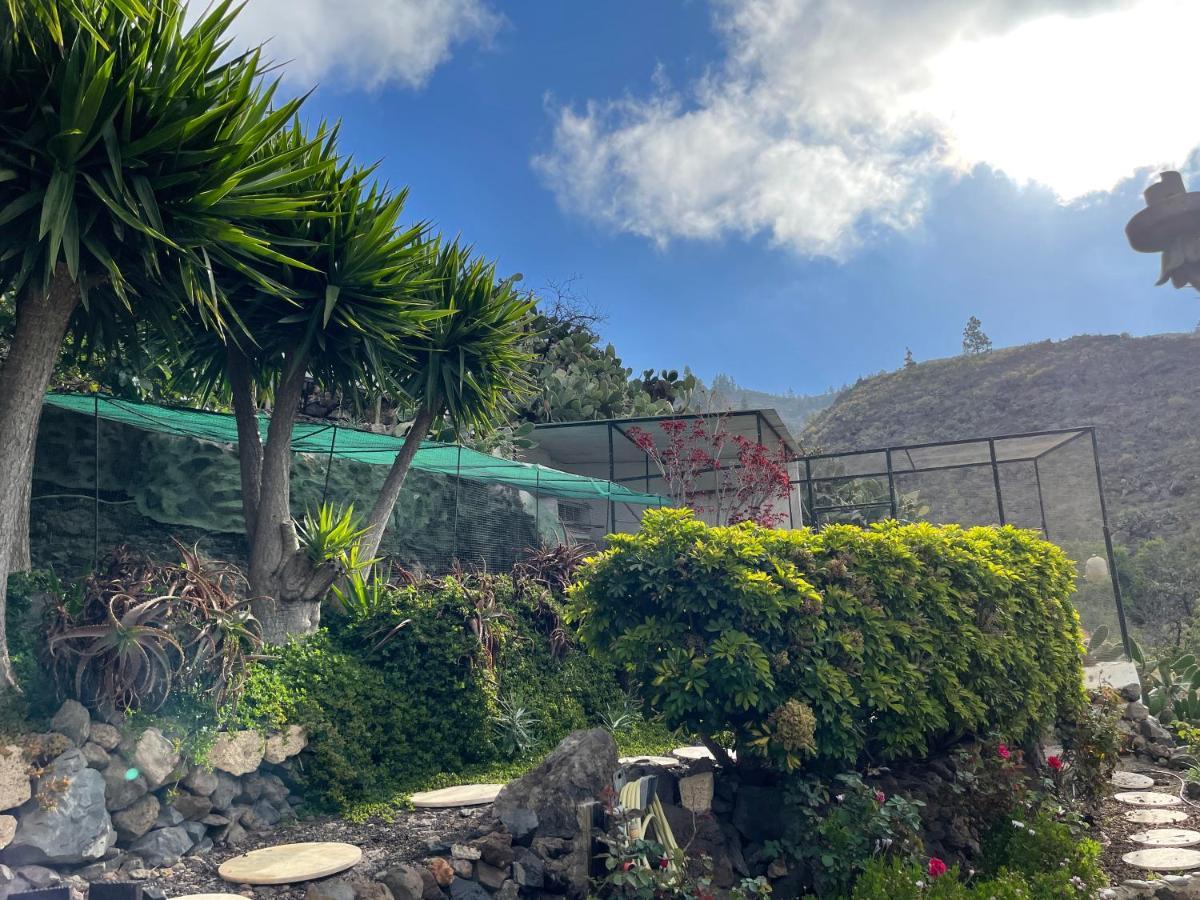 Casa Azul Villa Guia de Isora  Exterior photo